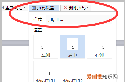 如何添加页码罗马数字,如何插入罗马数字的页码