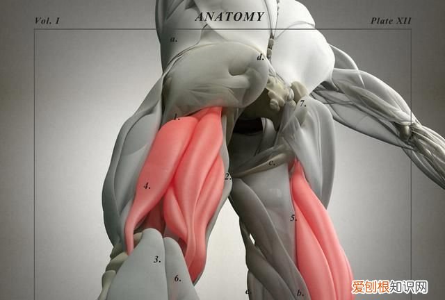 医学解剖尸体还原真相