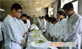 医学解剖尸体还原真相