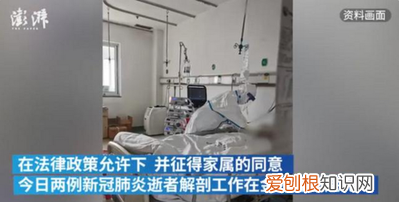 医学解剖尸体还原真相