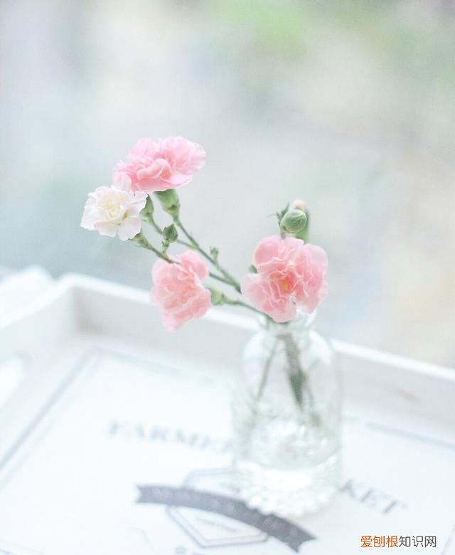 行路难行路难多歧路今安在,行路难行路难多歧路今安在释义