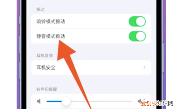 如何设置苹果手机静音，苹果手机怎么调静音模式