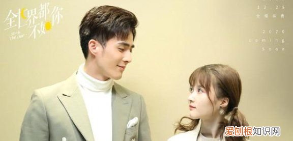 全世界都不如你首播影院，全世界都不如你一共多少集