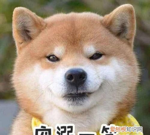 祝自己生日快乐的句子发朋友圈幽默含蓄创意说说