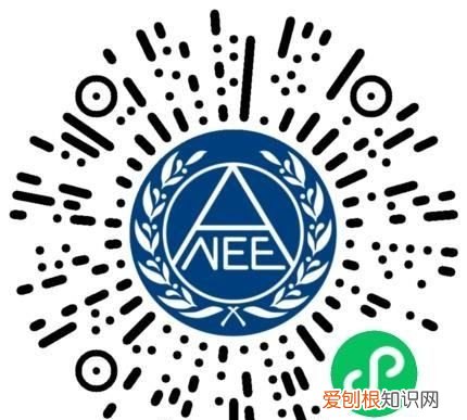 四级电子证书在哪儿，如何查询英语四级证书编号