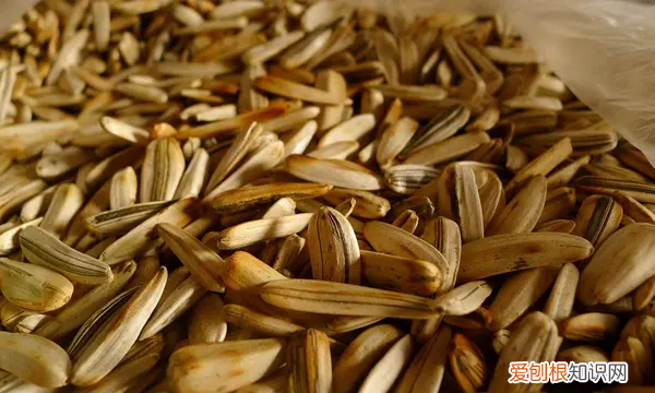 如何用纸折瓜子盒,瓜子皮盒怎么折叠