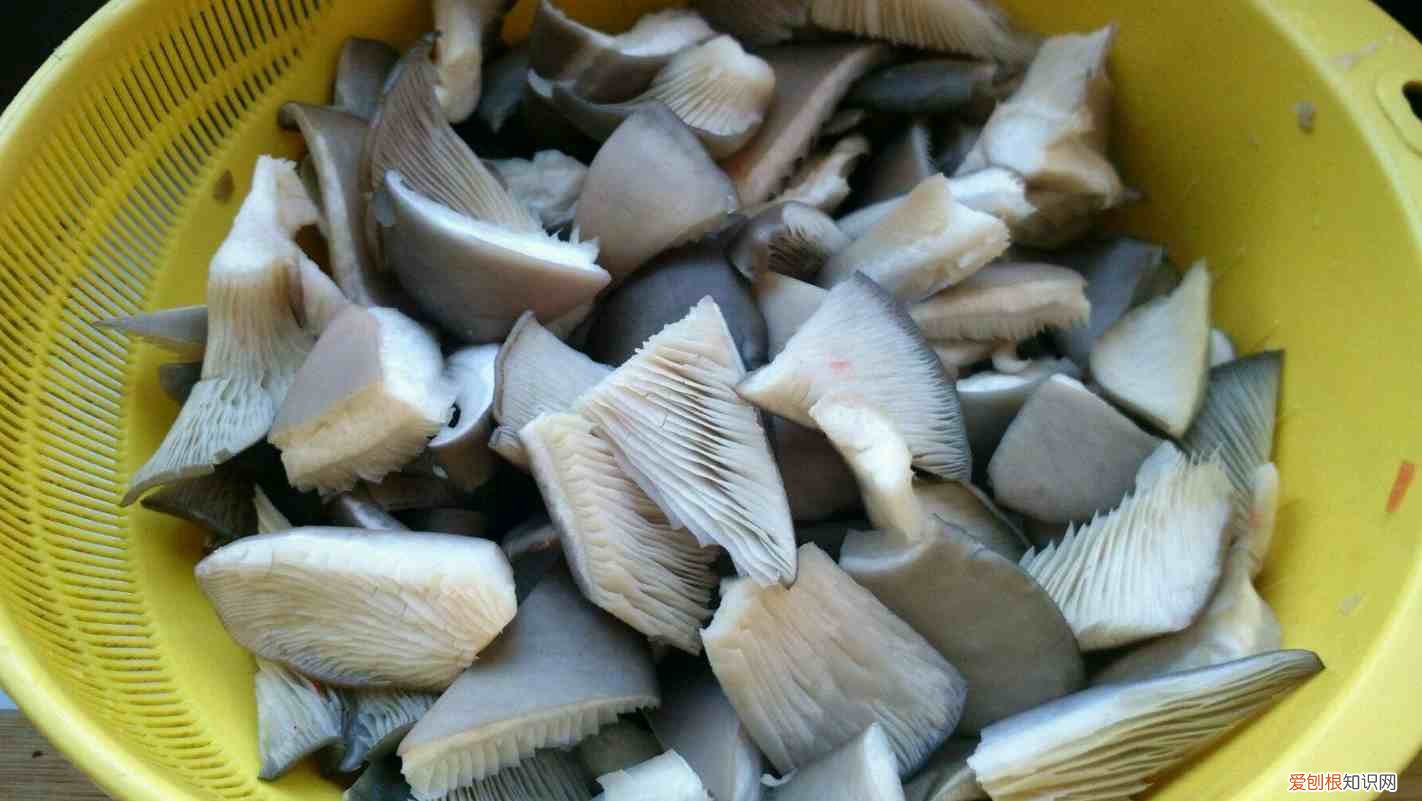 平菇5种最好吃的做法 平菇怎么做好吃