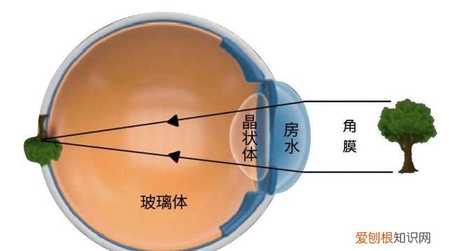 人类眼睛有5.76亿像素看不清