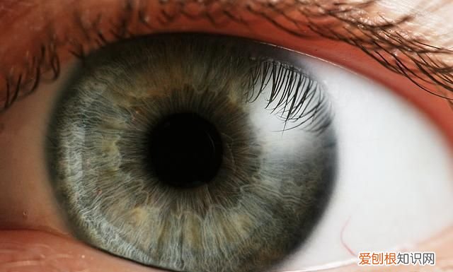 人类眼睛有5.76亿像素看不清