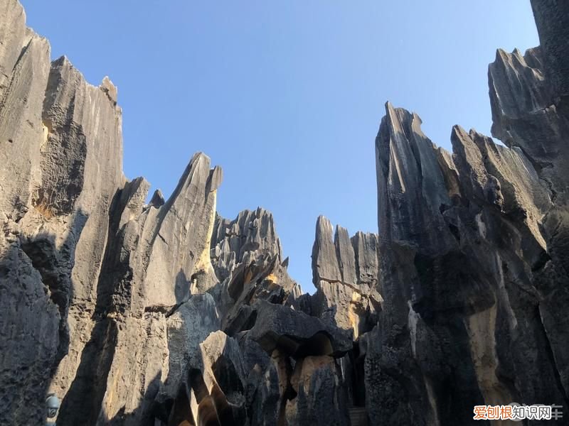 你听说过阿诗玛的故事吗？ 阿诗玛的故事