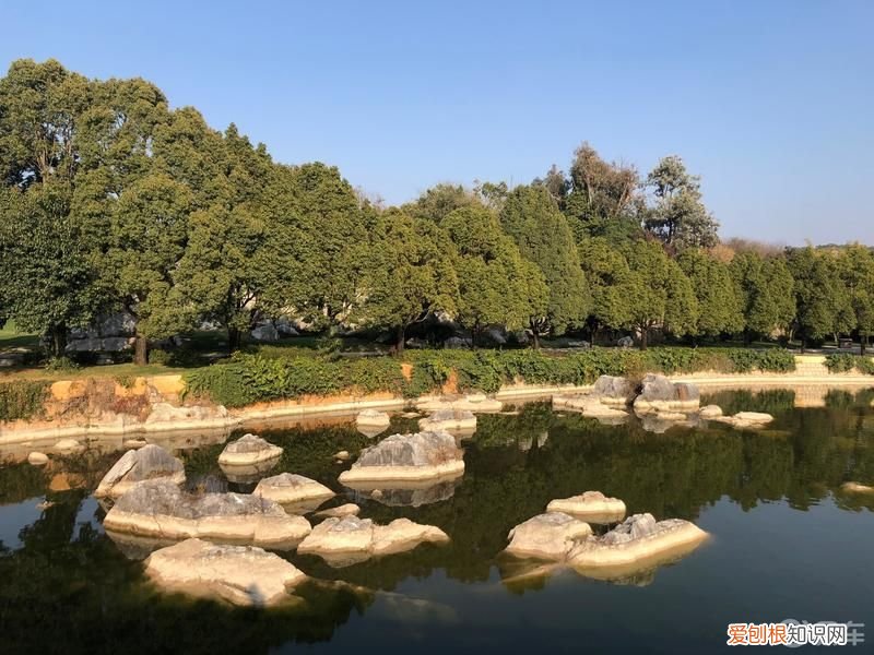 你听说过阿诗玛的故事吗？ 阿诗玛的故事