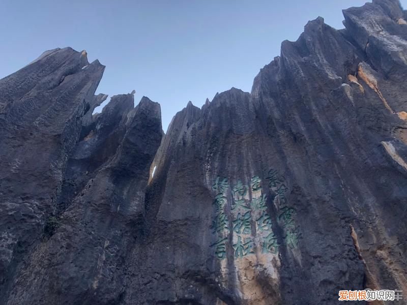 你听说过阿诗玛的故事吗？ 阿诗玛的故事