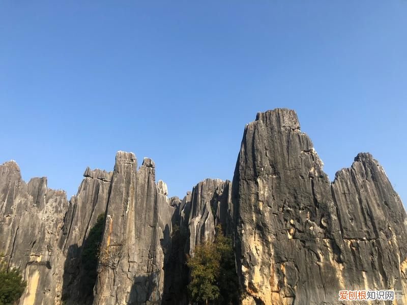 你听说过阿诗玛的故事吗? 阿诗玛的故事