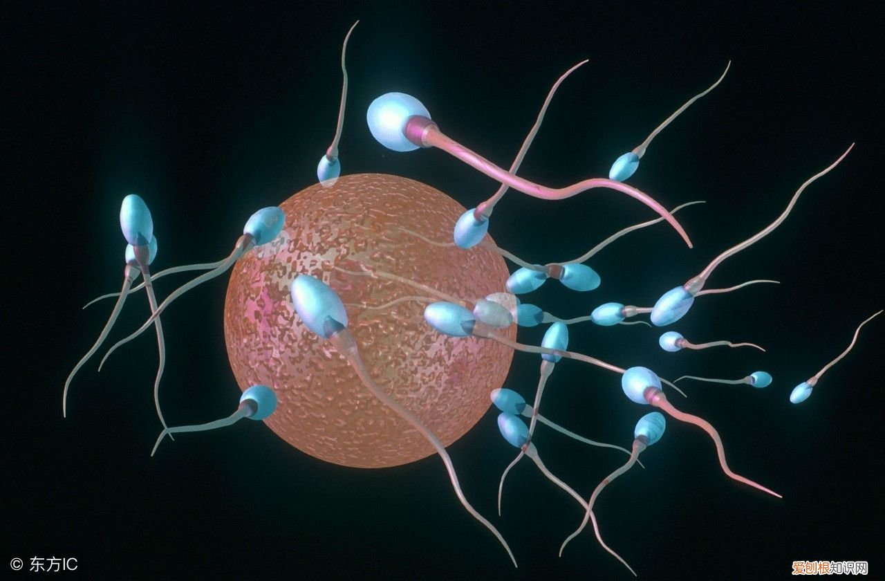 经常服用紧急避孕药有哪些副作用 毓婷副作用