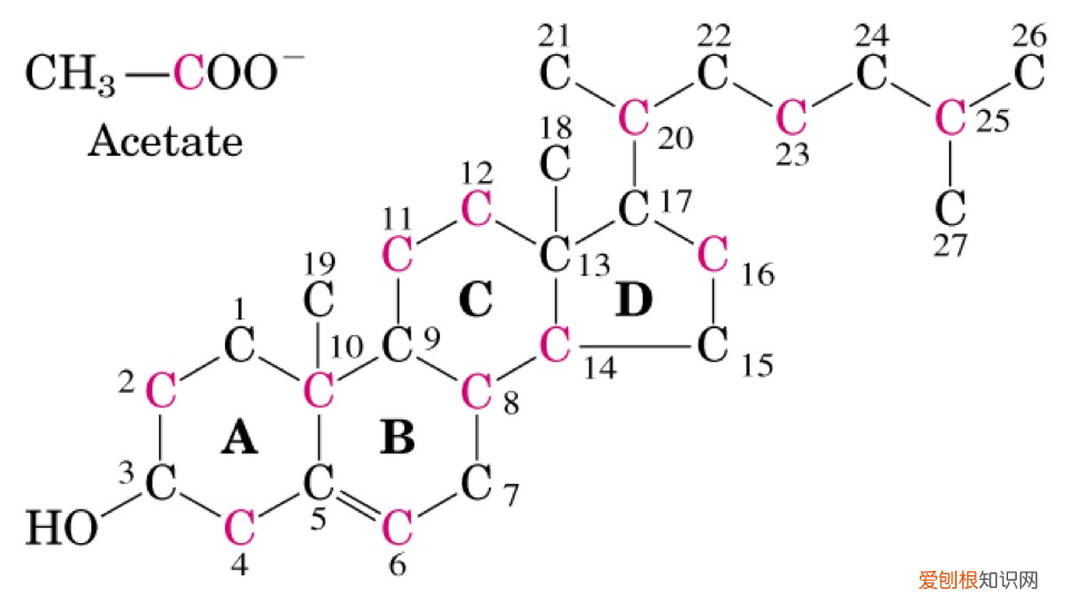 牛奶选全脂还是脱脂？ 全脂牛奶和脱脂牛奶的区别
