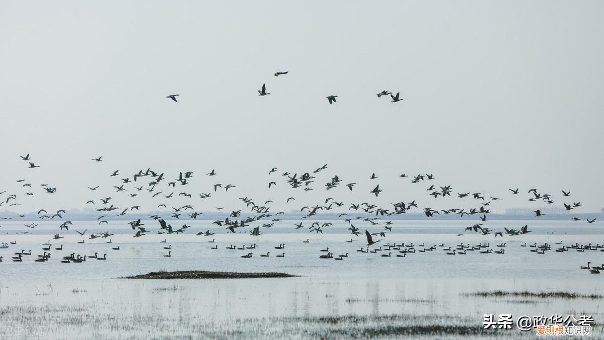 我国最大的淡水湖 中国最大淡水湖