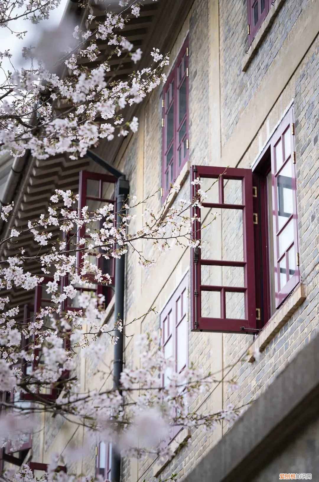 二月二龙抬头为啥要理发 二月二剪头发