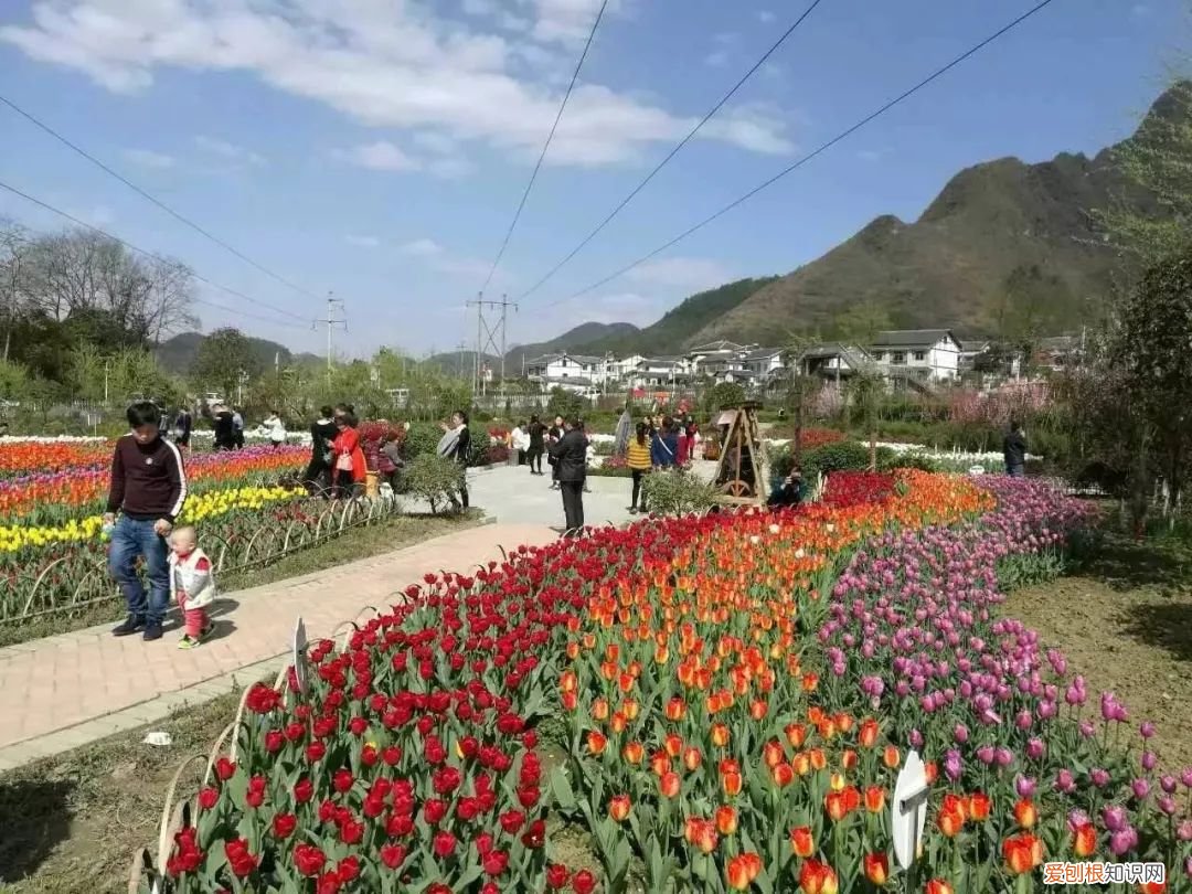 二月二龙抬头为啥要理发 二月二剪头发