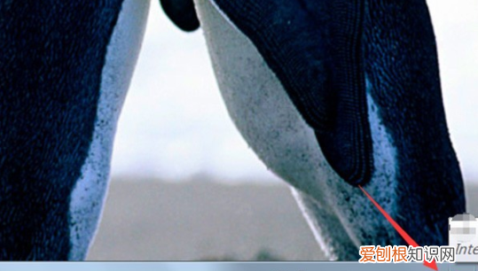 笔记本电脑怎么联网,笔记本电脑如何用手机流量上网