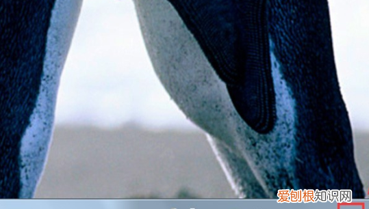 笔记本电脑怎么联网,笔记本电脑如何用手机流量上网