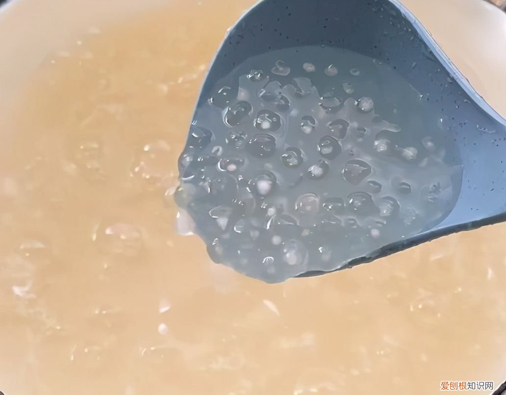 椰汁西米露怎么做 椰汁西米露的做法