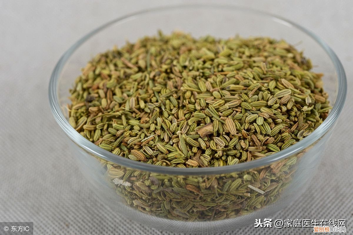 冬天吃点茴香，有哪些好处？ 大寒节气吃茴香有什么好处？