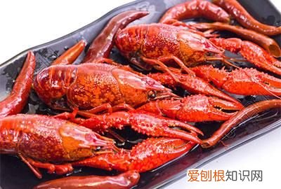 小龙虾的头可以吃吗，小蓝龙虾的头可以吃