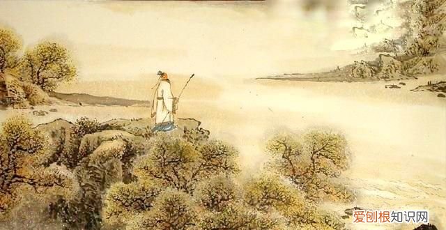 无边落木萧萧下为什么是落木不是落叶