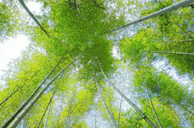 珠海周边10个绝美好玩的景点 珠海周边游