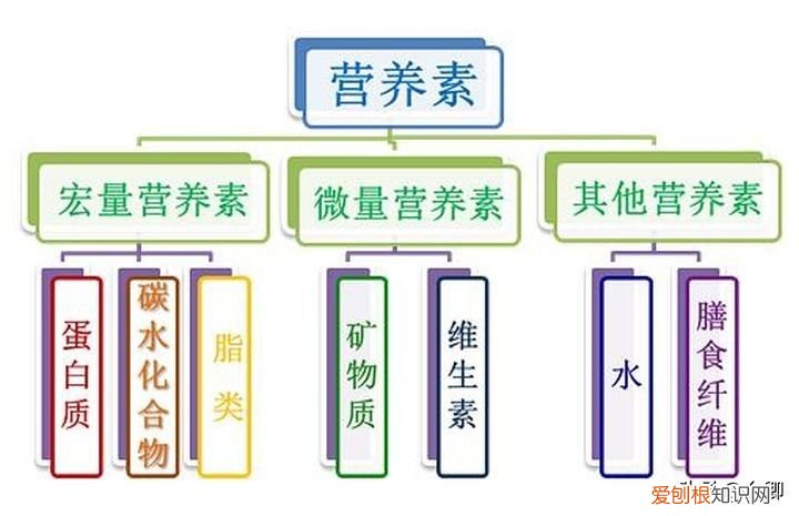 考营养师有前途吗？ 营养师就业