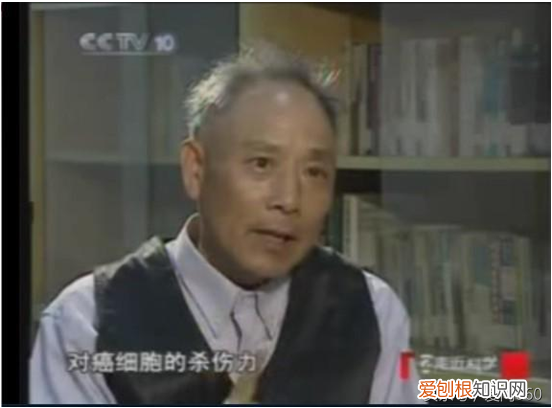 蟾衣的功效与作用1(蟾衣的功效和鉴别方法)