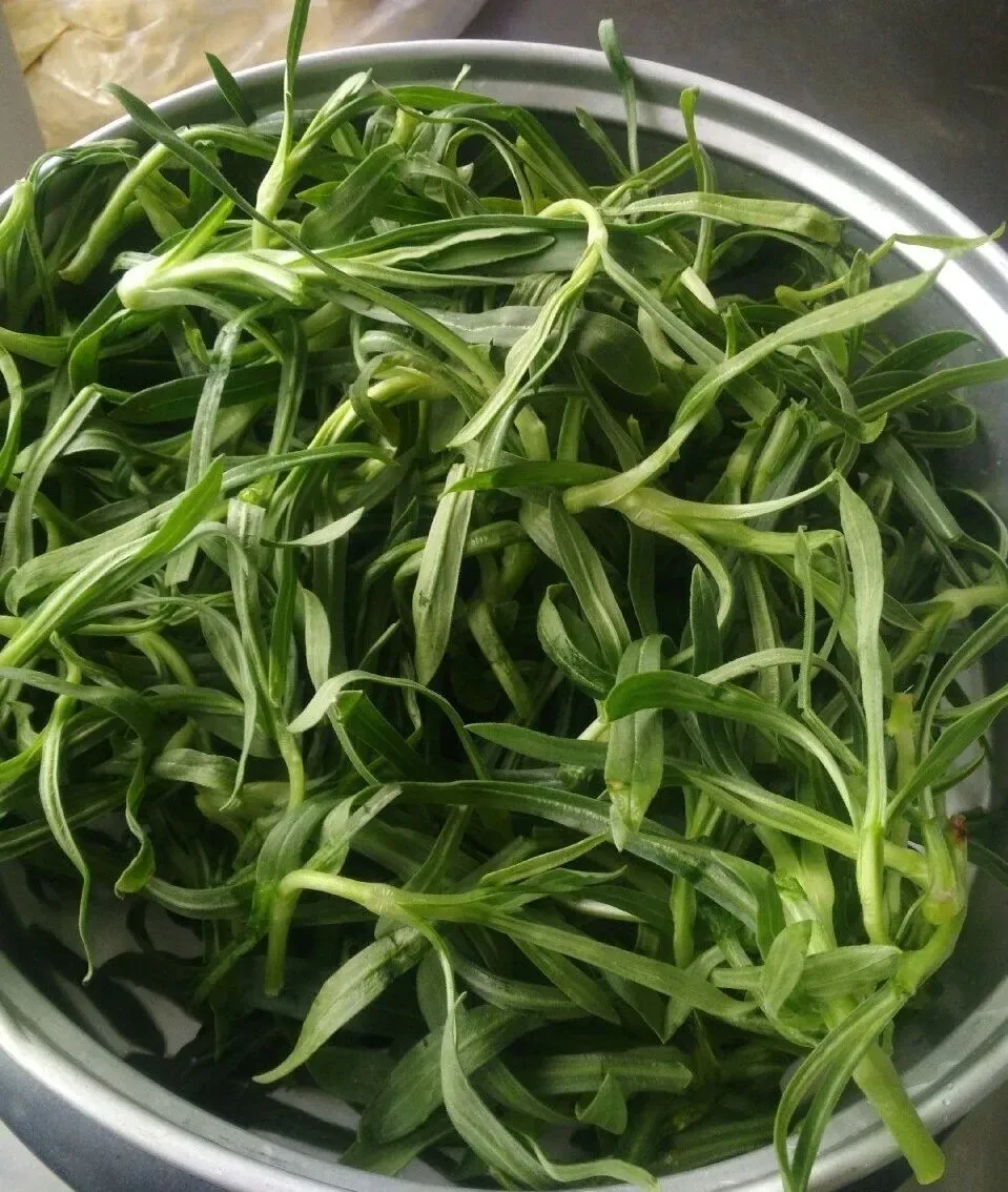 最美味的15种野菜 野菜种类