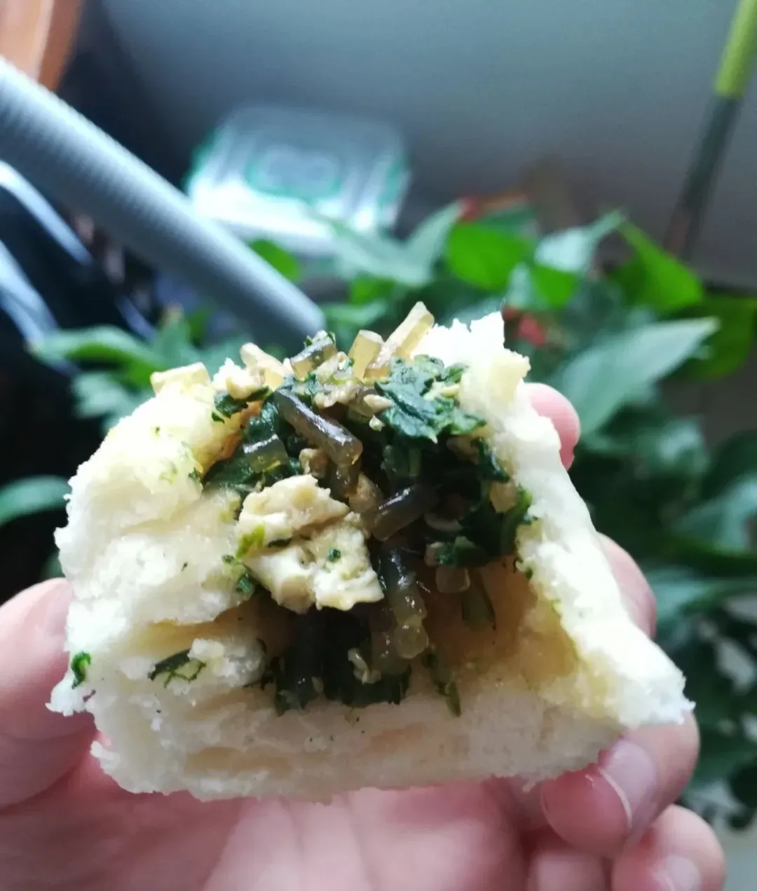 最美味的15种野菜 野菜种类