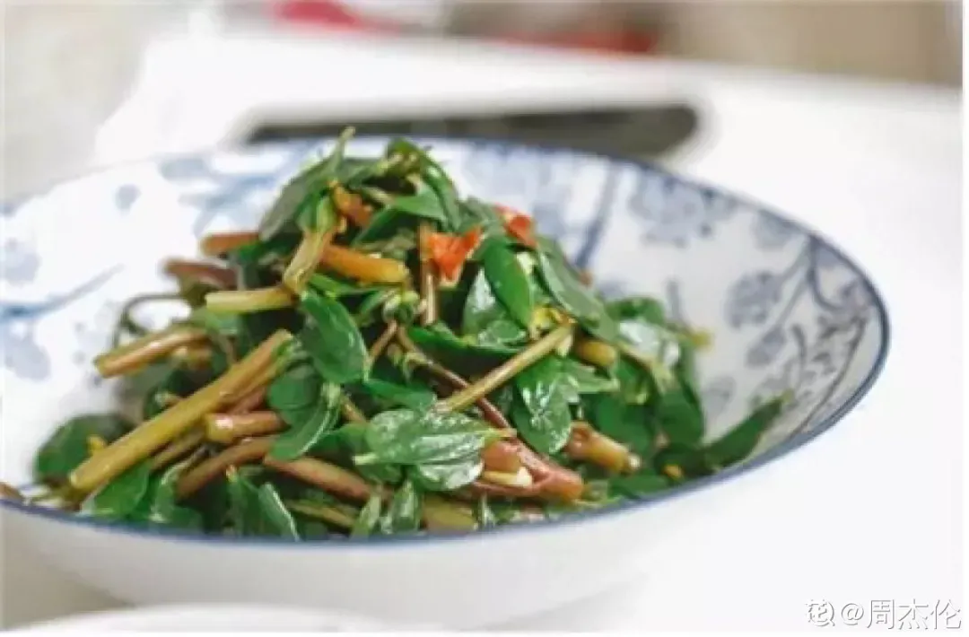 最美味的15种野菜 野菜种类