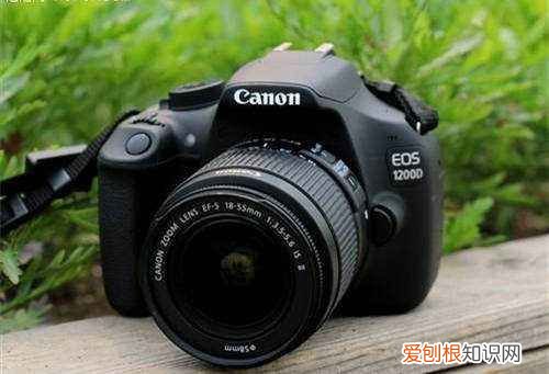 佳能单反拍摄技巧 佳能500d使用技巧