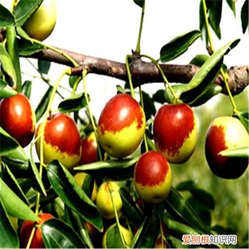 数字俗语谚语 数字俗语