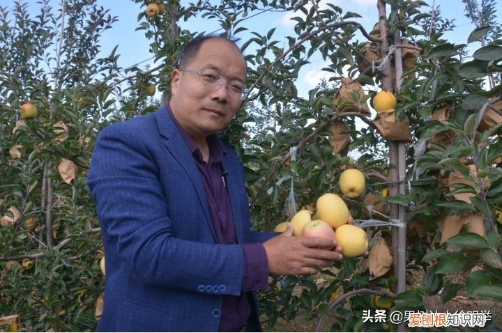 水果店经营销售有窍门 水果店经营