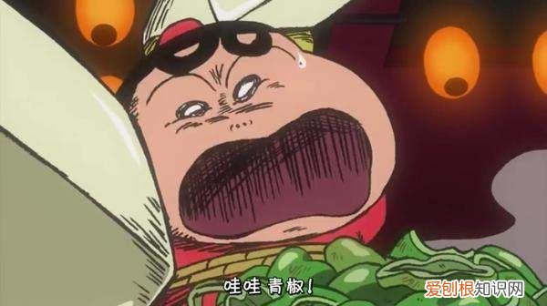 什么是欧巴桑具体有哪些特征 欧巴桑是什么？