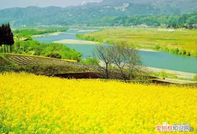 江南春天的散文 江南春天