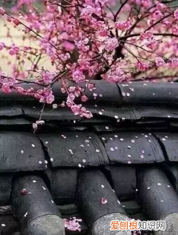 江南春天的散文 江南春天