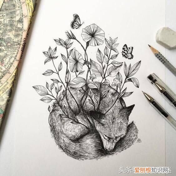 鼓励自己努力学习的名言！ 激励学习的名人名言！