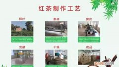 红茶的分类是怎样的