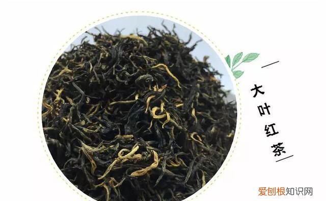 红茶的分类是怎样的