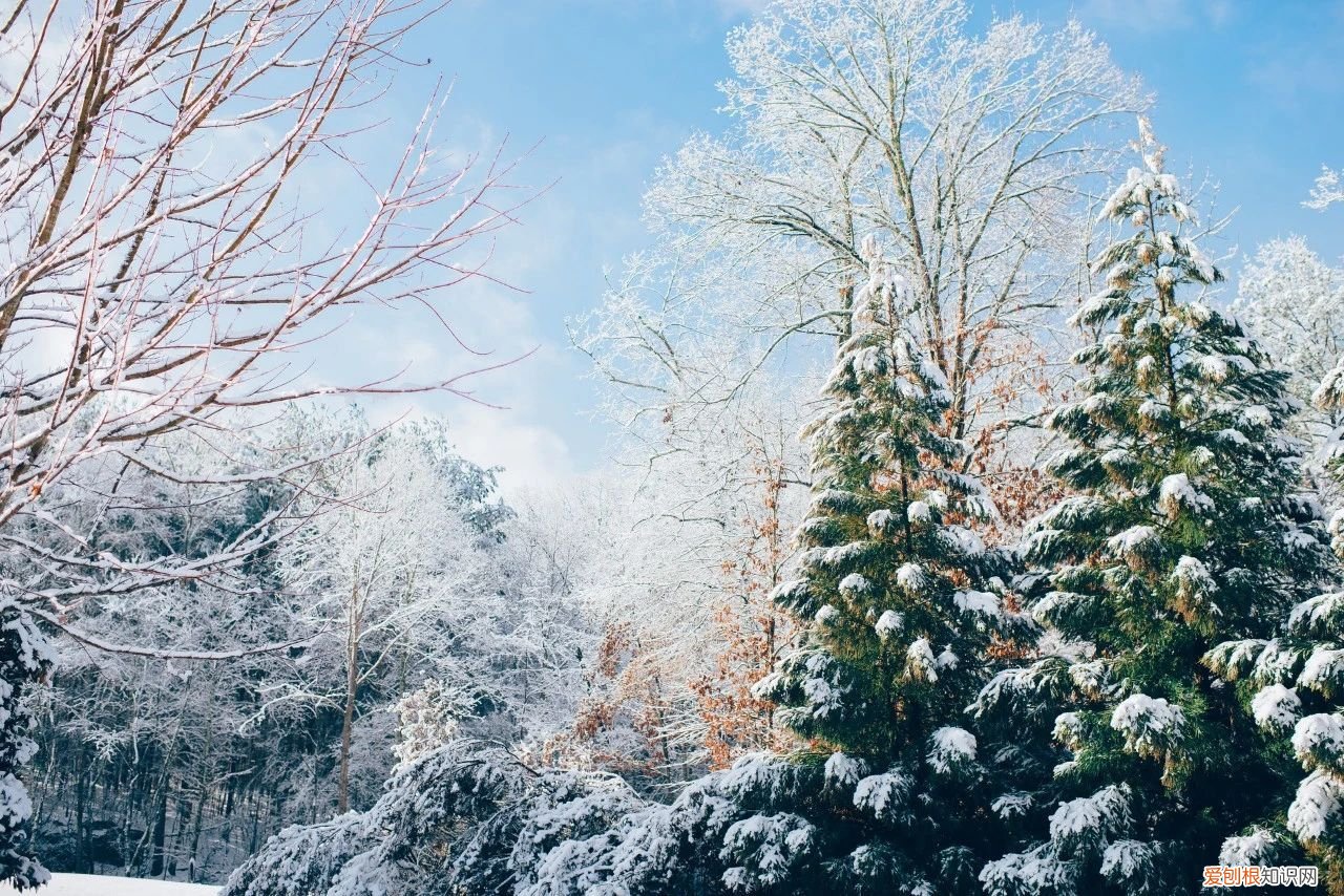 8首咏雪诗词 有关冬雪的诗句