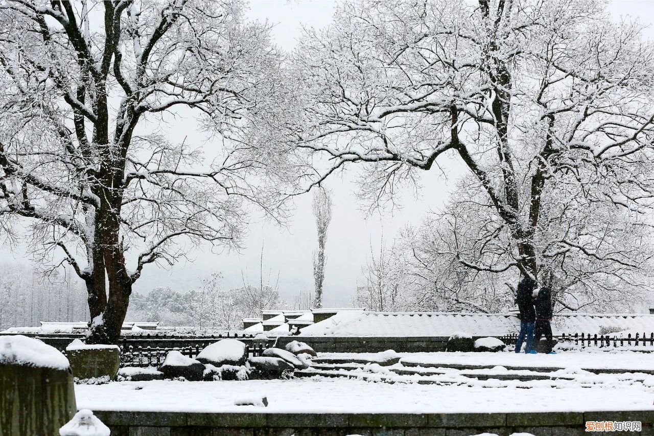 8首咏雪诗词 有关冬雪的诗句
