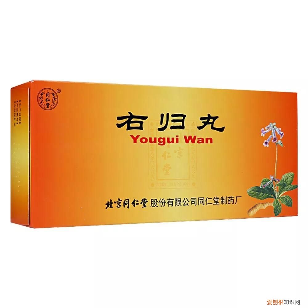 十大常用补肾壮阳中成药简介 药物补肾