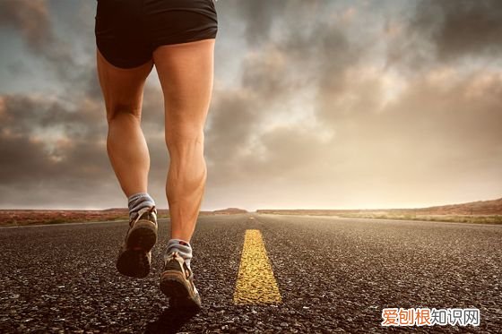 爬楼梯运动有哪些好处 爬楼梯锻炼身体