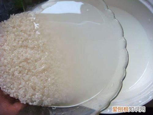 淘米水洗头发的正确方法 淘米水洗头发