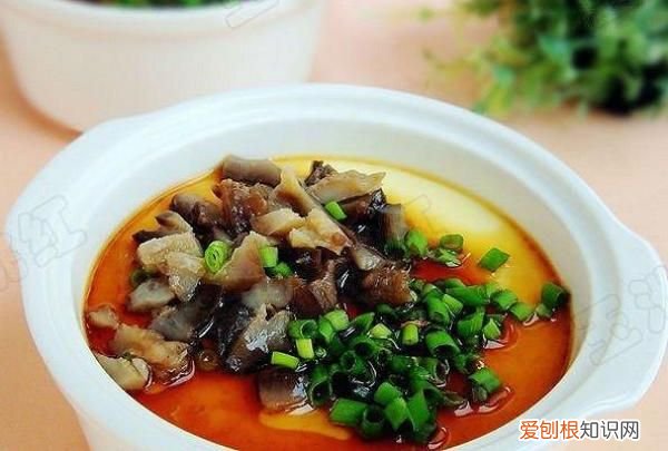30种海参的做法 海参菜谱的做法