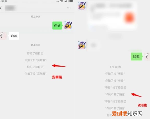 微信拍一拍功能怎么说话 微信拍一拍功能添加字